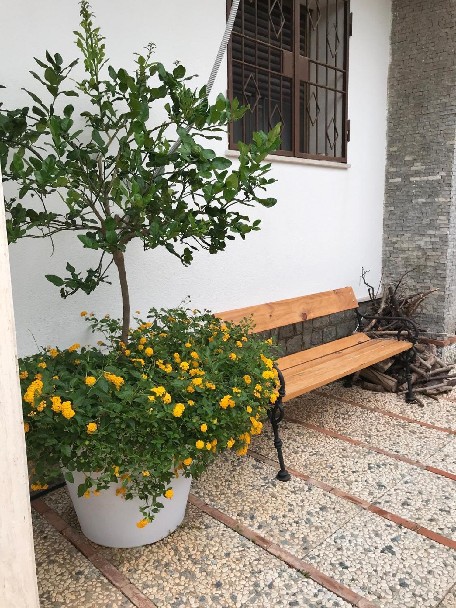 Holiday & House - Imparato Carini Costa Verde Экстерьер фото
